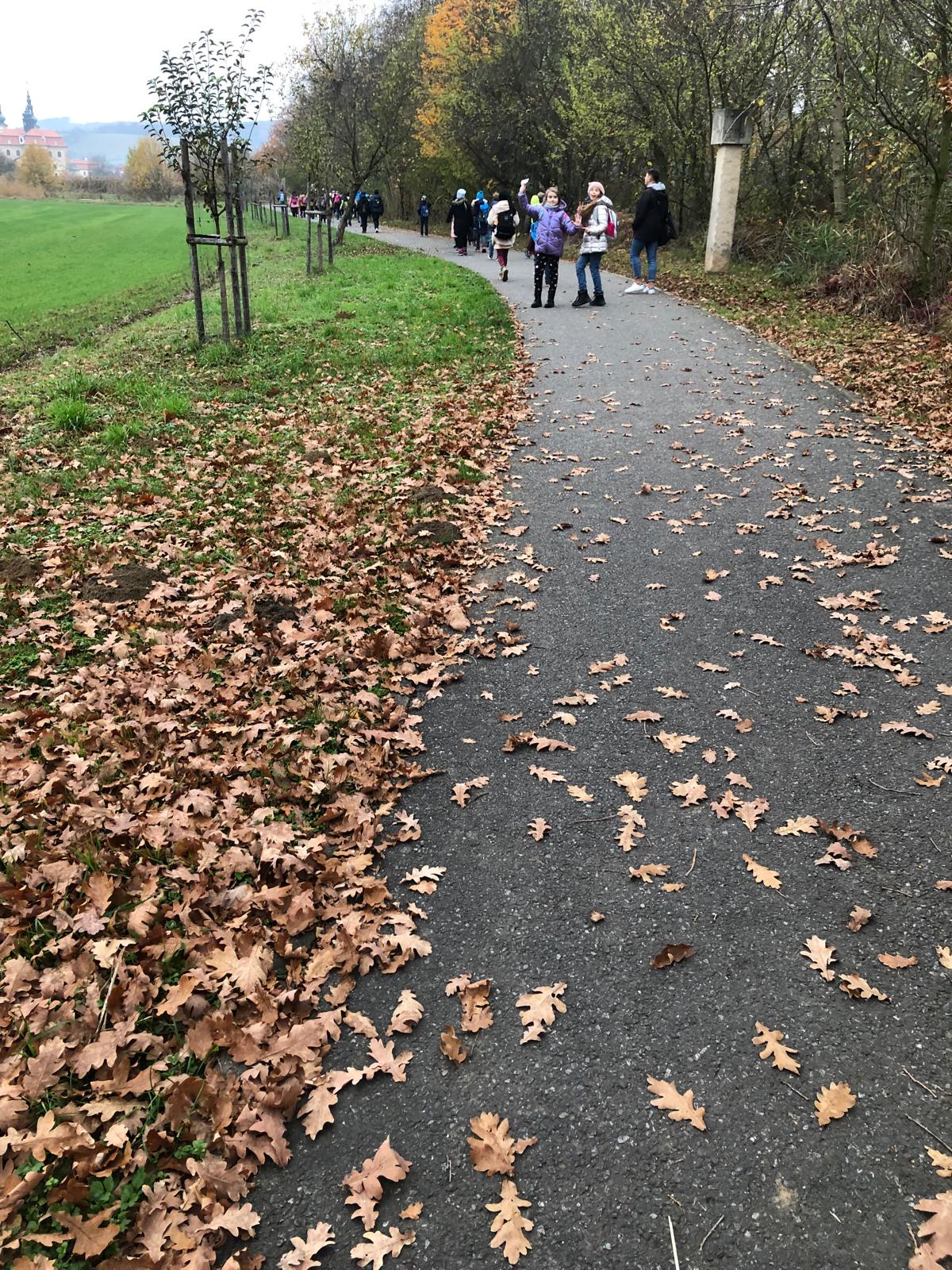 WhatsApp Image 2022-12-11 at 18.09.15 (2)