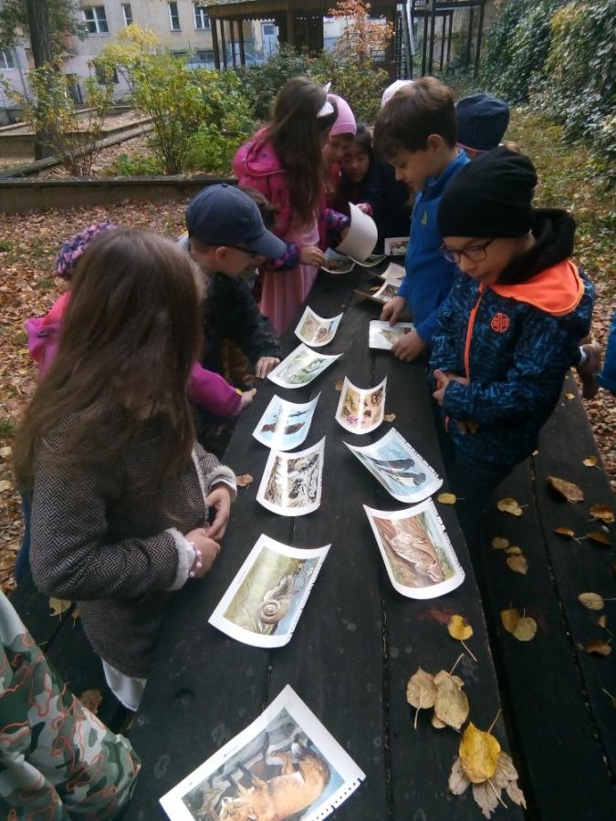 V_uka_v_lesoparku_foto