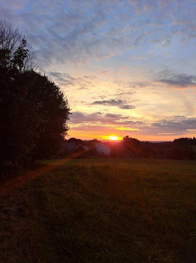 309714881_424933762903123_6422561493814820071_n