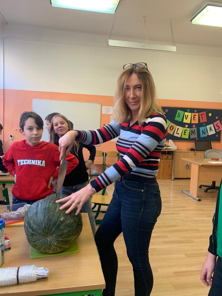 8a50f016-2a74-4b3f-b5b8-586bb5b61c73