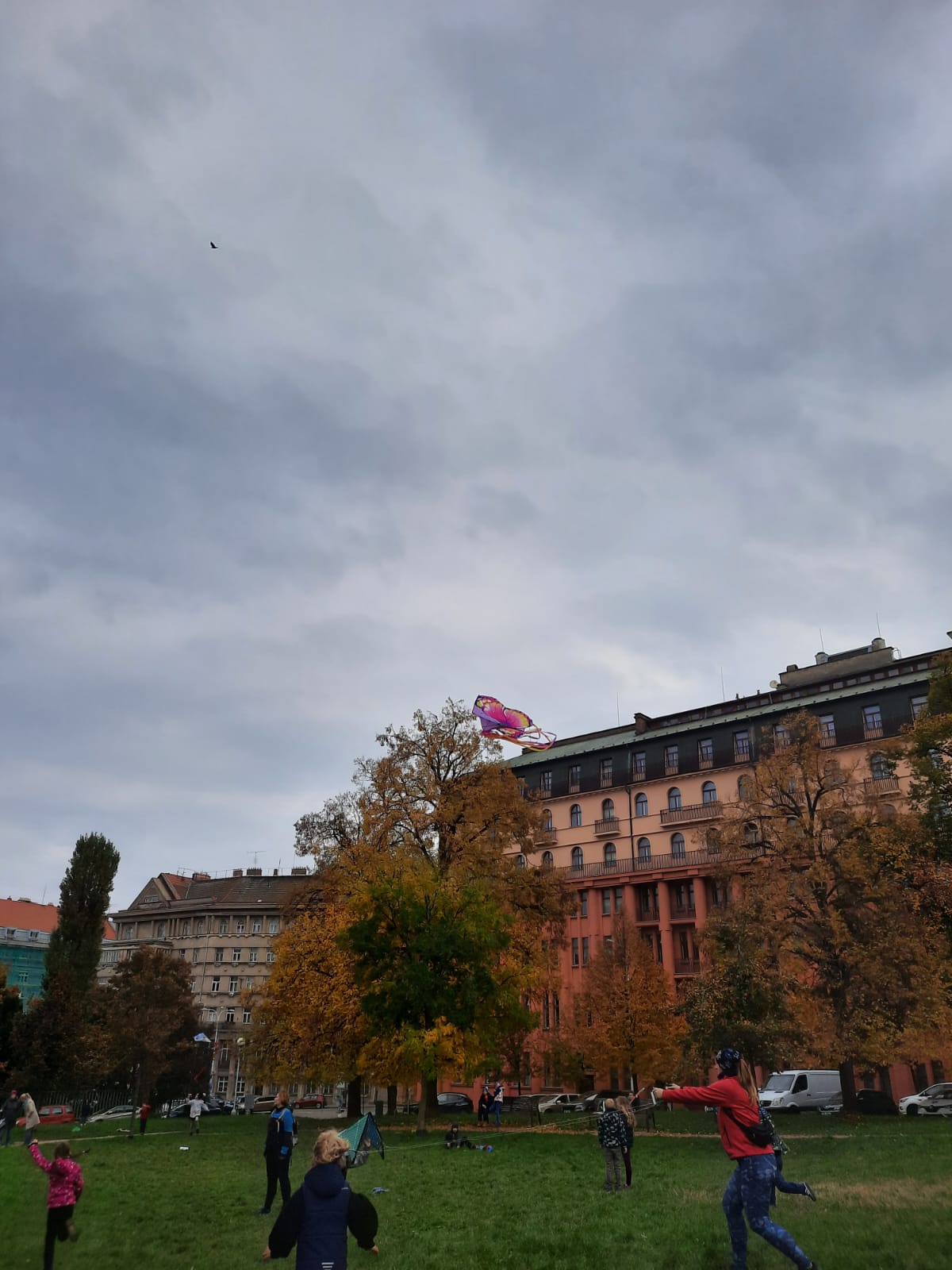 Obrázek WhatsApp, 2024-10-28 v 18.39.47_32a24db3