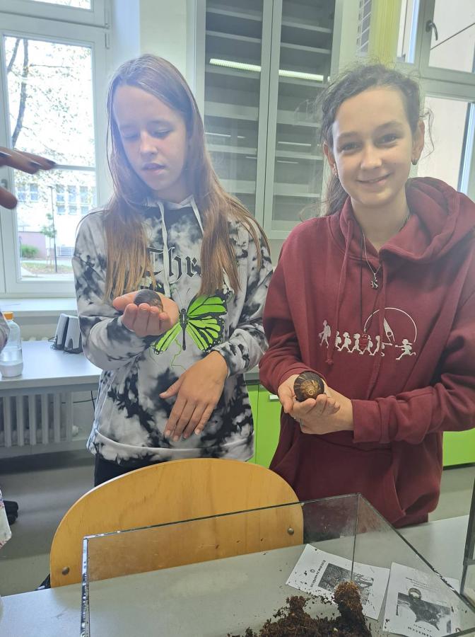 308684490_490075116188220_5155928042059347208_n