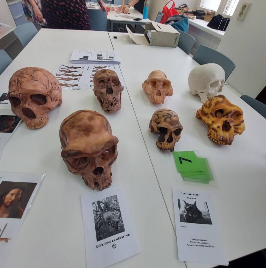 312369244_454683756647260_1611093263878720920_n