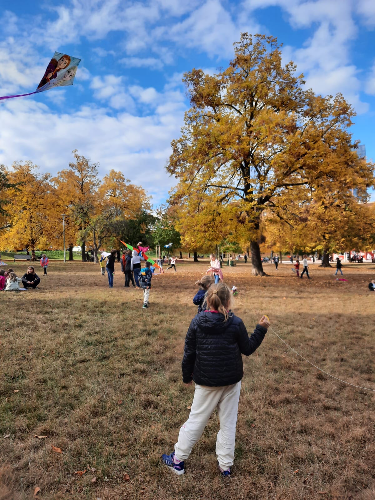 Obrázek WhatsApp, 2023-11-05 v 18.41.53_8cb3c014