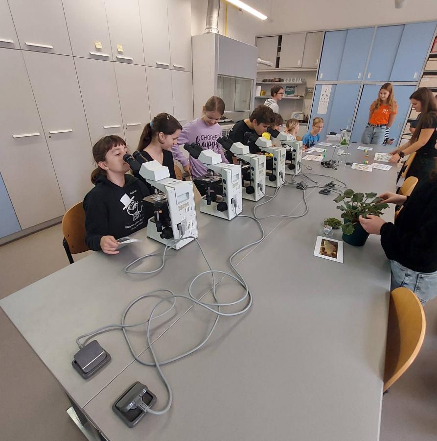 307847940_1927602874096012_1614654972308627156_n