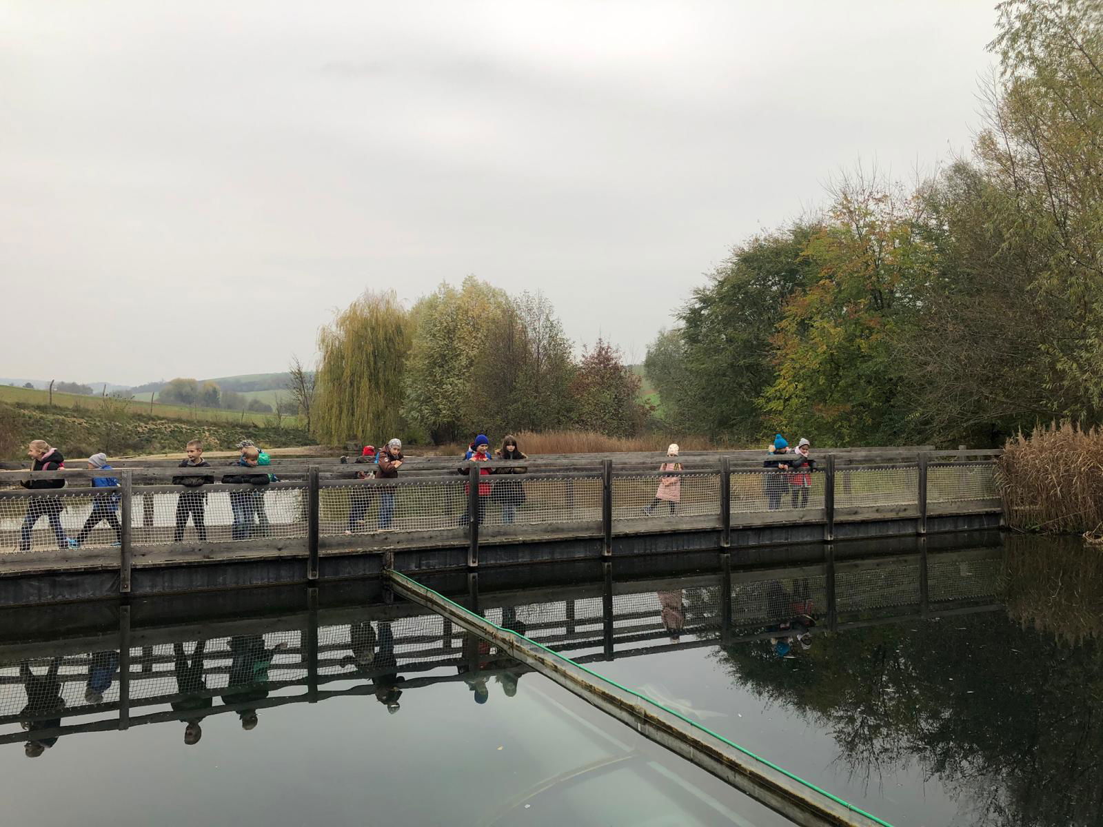 WhatsApp Image 2022-12-11 at 18.09.13 (2)