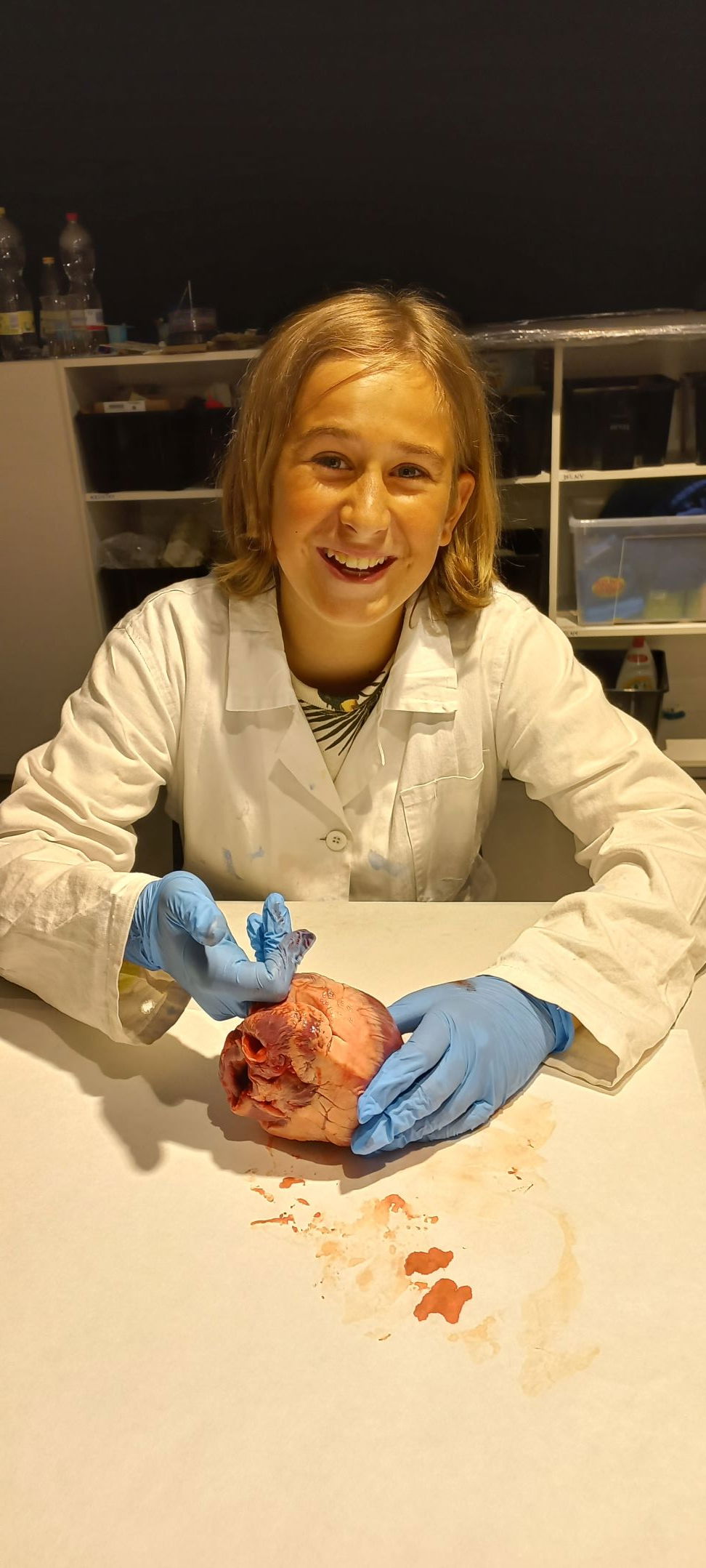 Srdce na dlani-obrázek