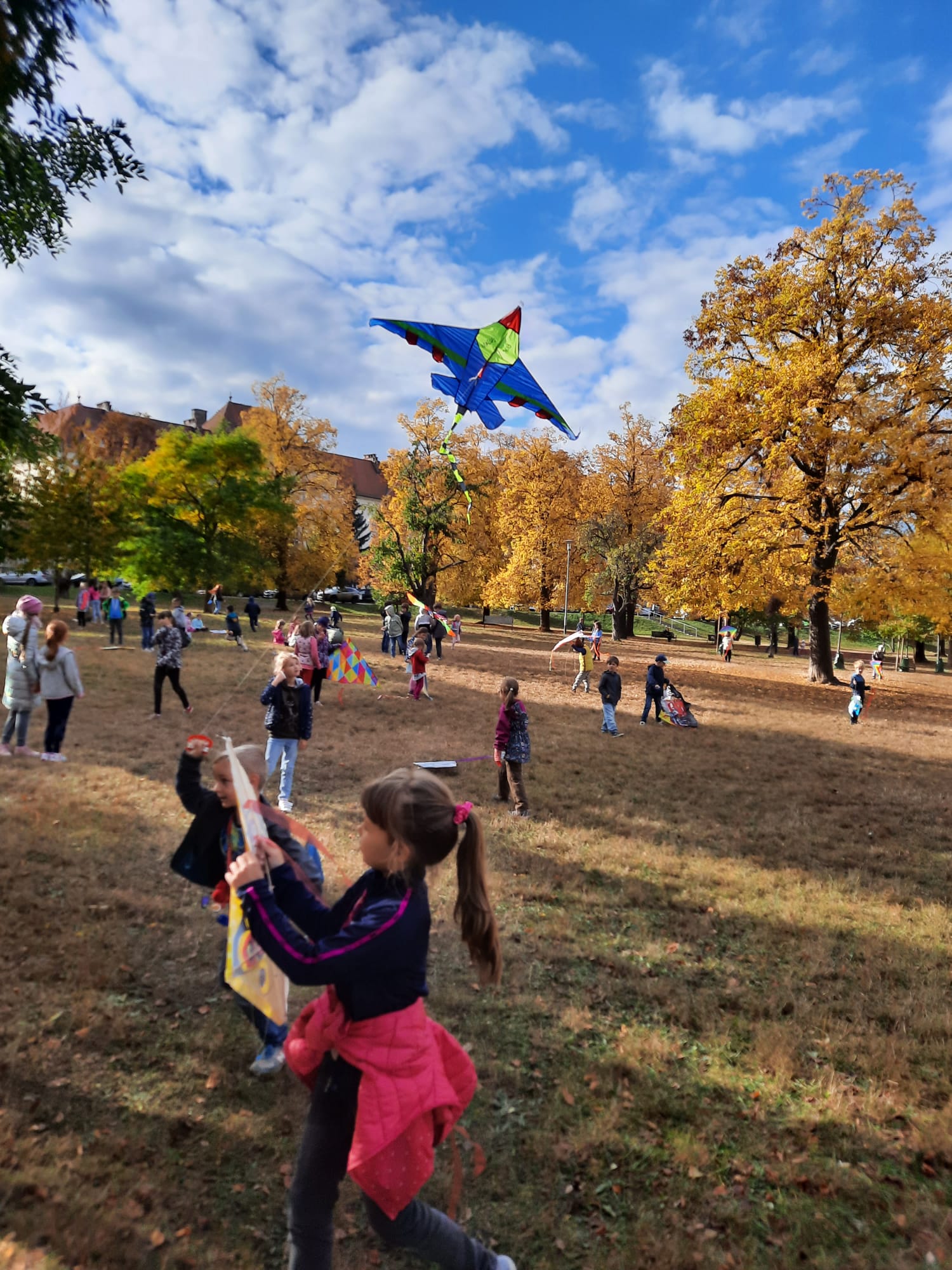 Obrázek WhatsApp, 2023-11-05 v 18.40.28_bae220fb