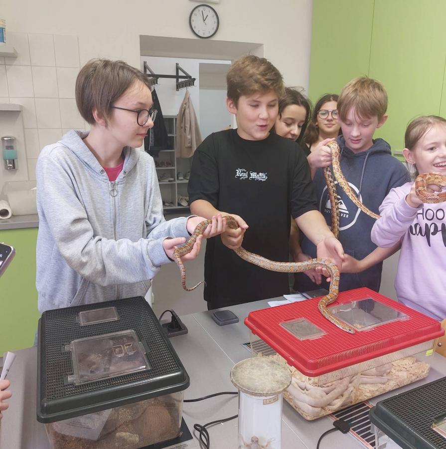 306829260_501319088337678_7190159508229793097_n