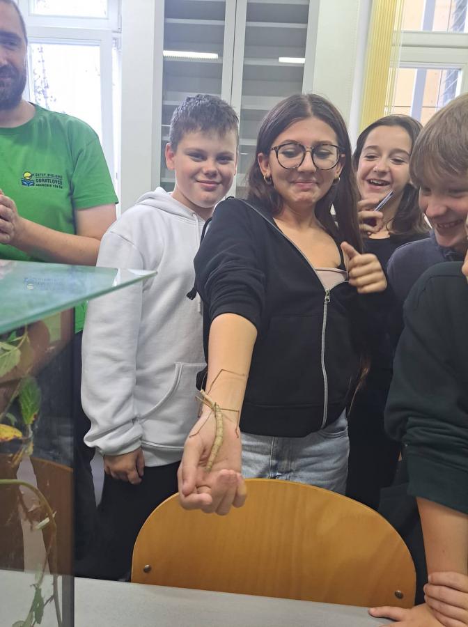 v_uka_venku_MU._6._ro_n_k