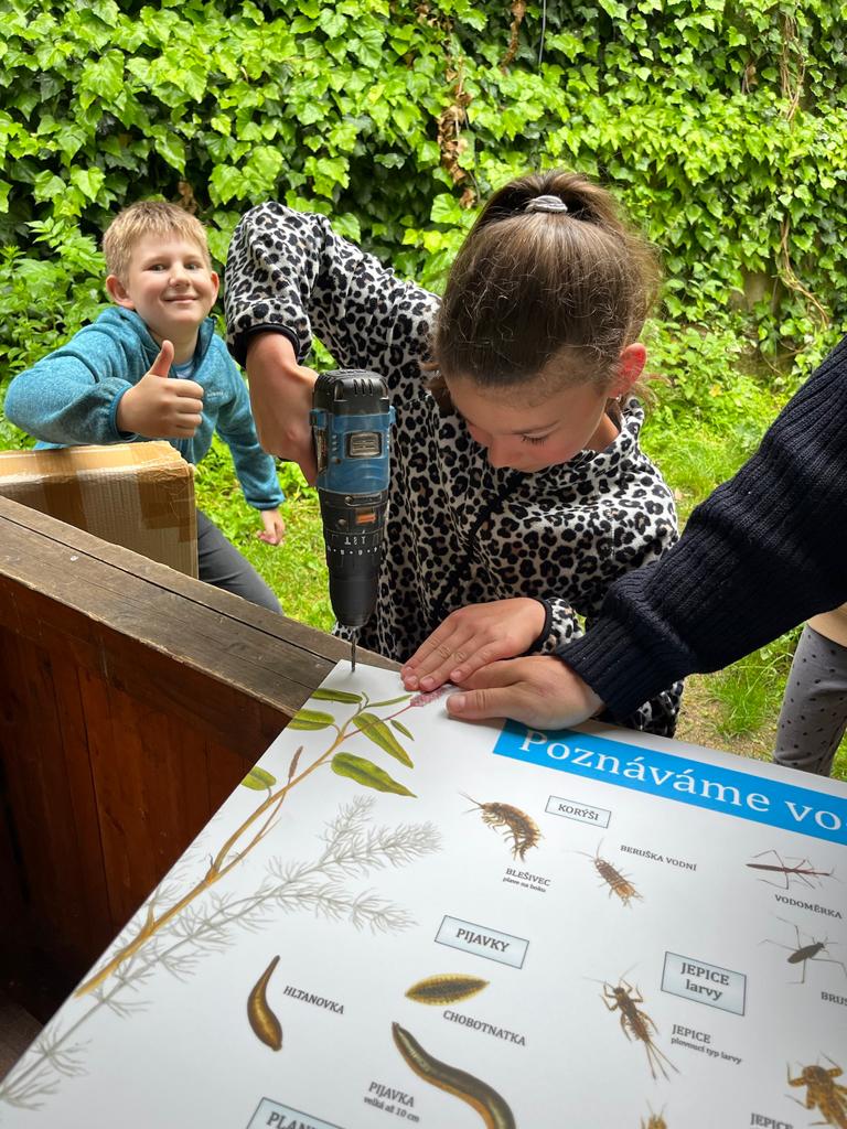 1d3bc088-068a-46c2-9239-21662aa605f4