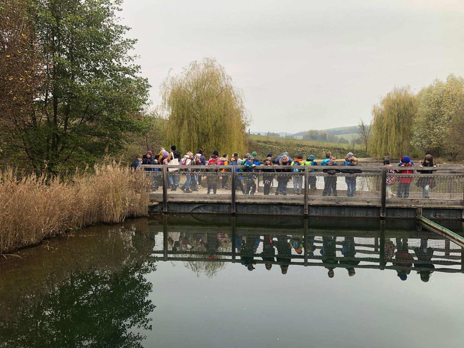 WhatsApp Image 2022-12-11 at 18.09.13 (1)