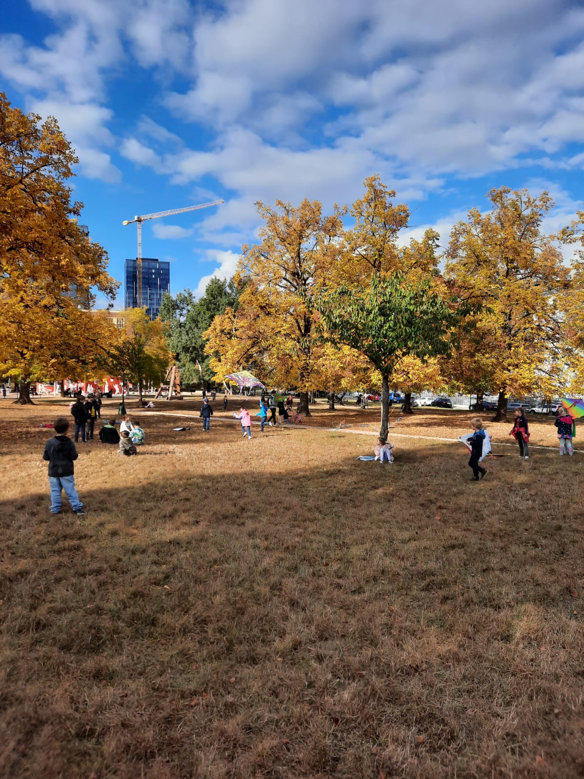 Obrázek WhatsApp, 2023-11-05 v 18.40.39_1f98332b