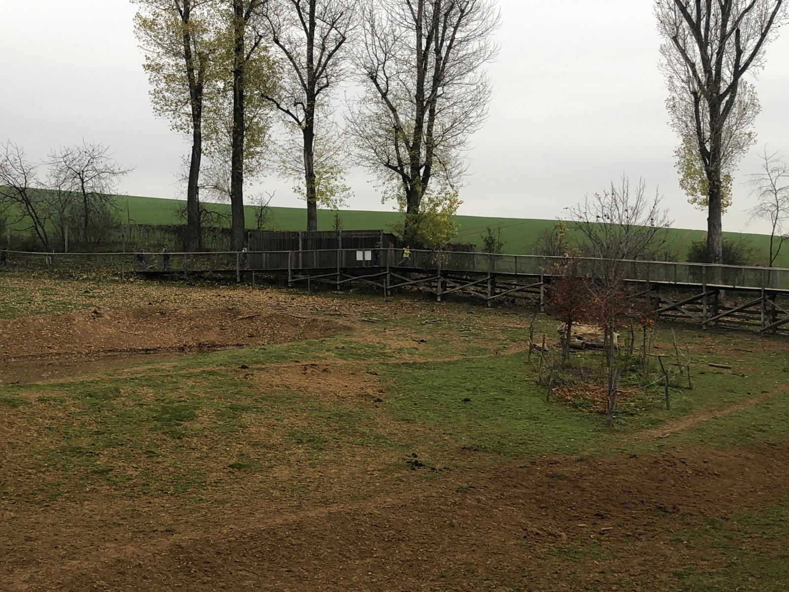 WhatsApp Image 2022-12-11 at 18.09.13 (4)