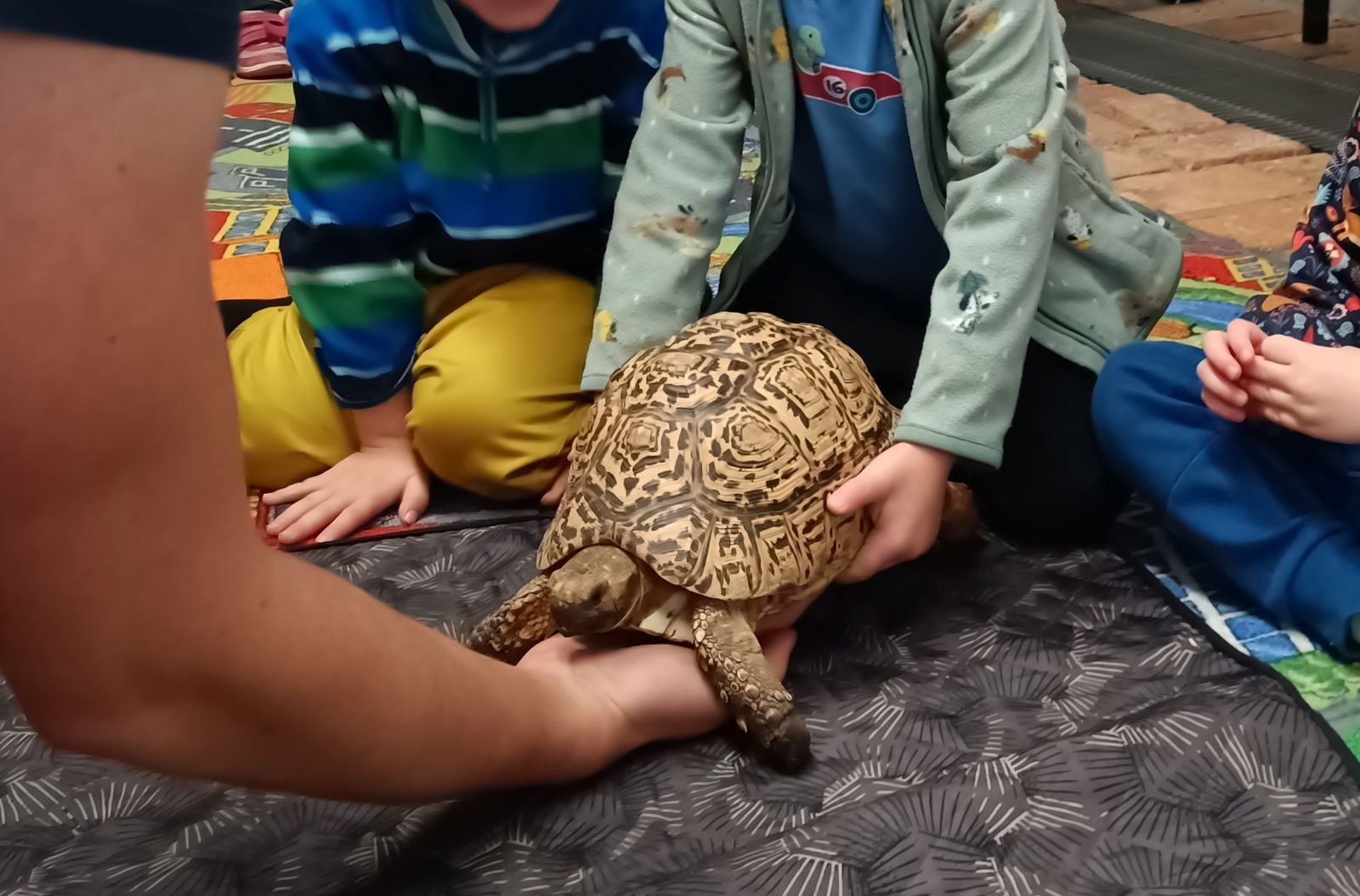 IMG_20251014_100653_143~2