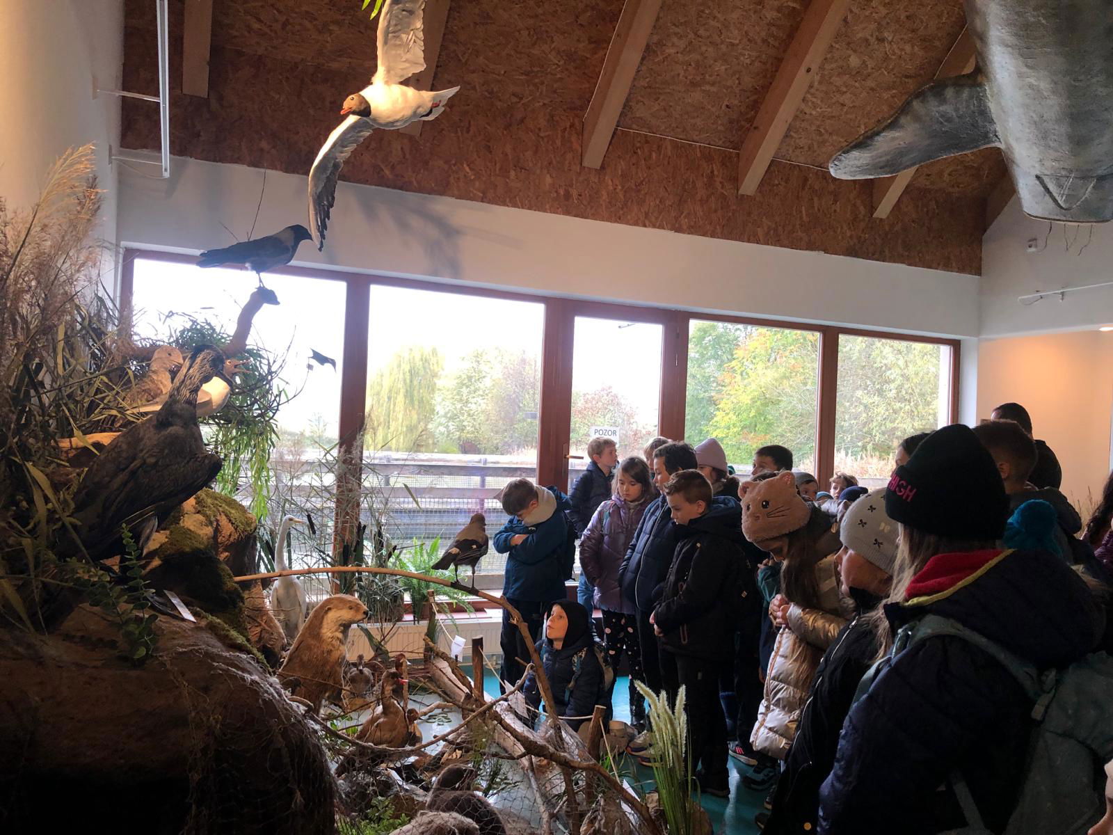 WhatsApp Image 2022-12-11 at 18.09.03