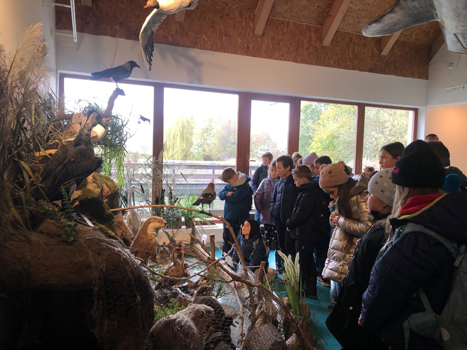 WhatsApp Image 2022-12-11 at 18.09.02