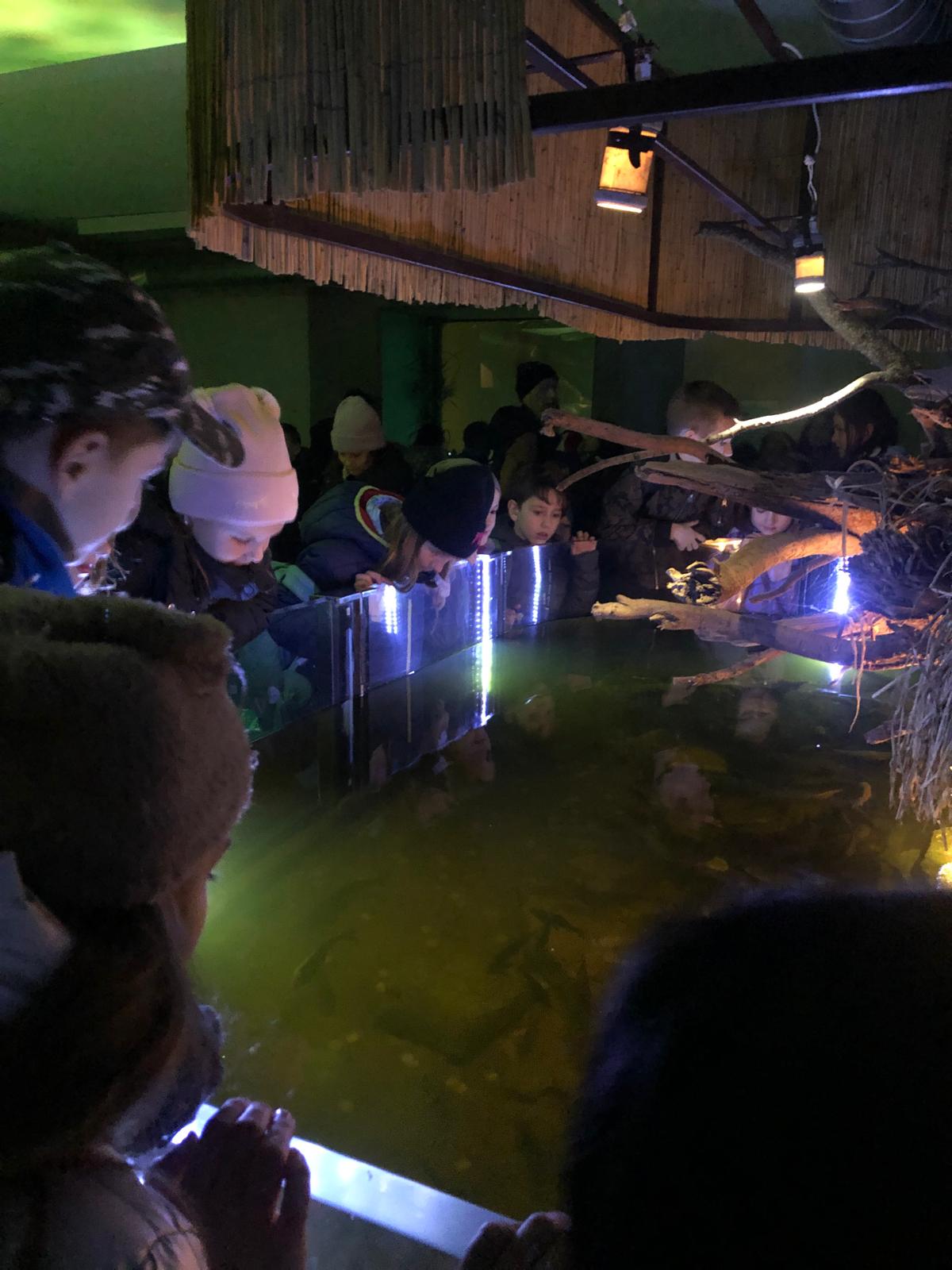 WhatsApp Image 2022-12-11 at 18.09.12 (3)