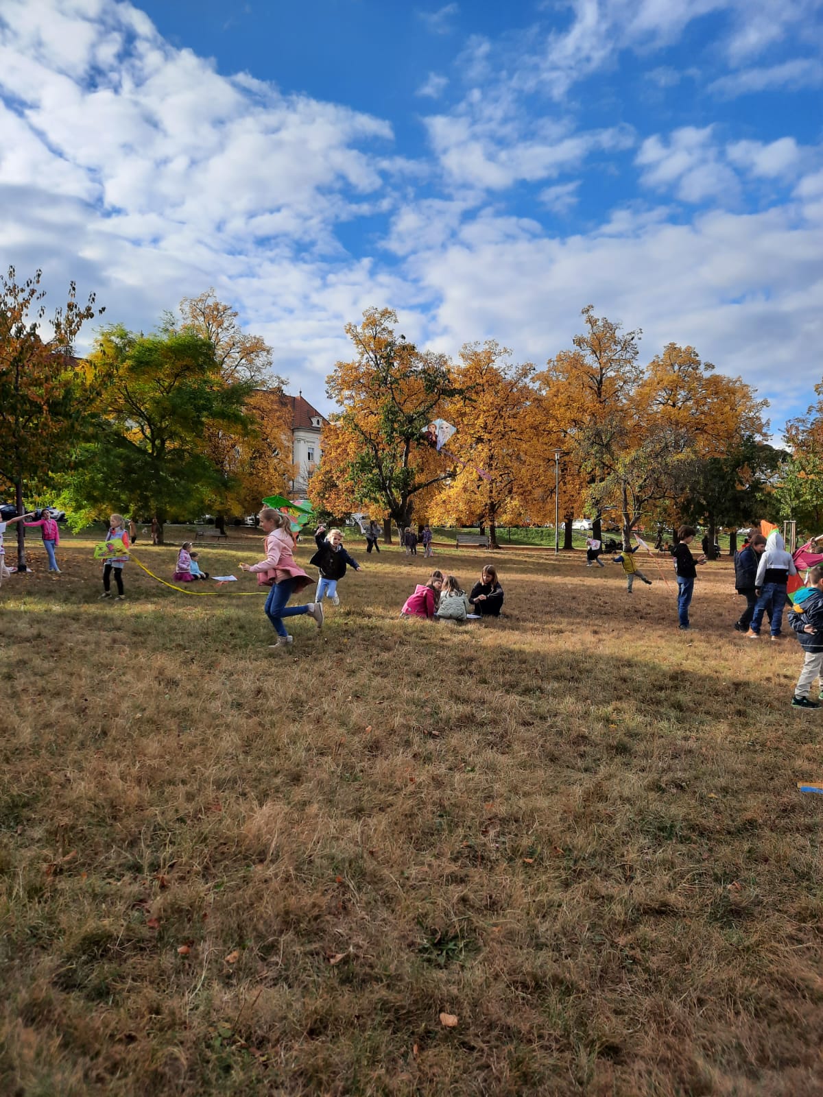 Obrázek WhatsApp, 2023-11-05 v 18.41.15_cd6e7ffa