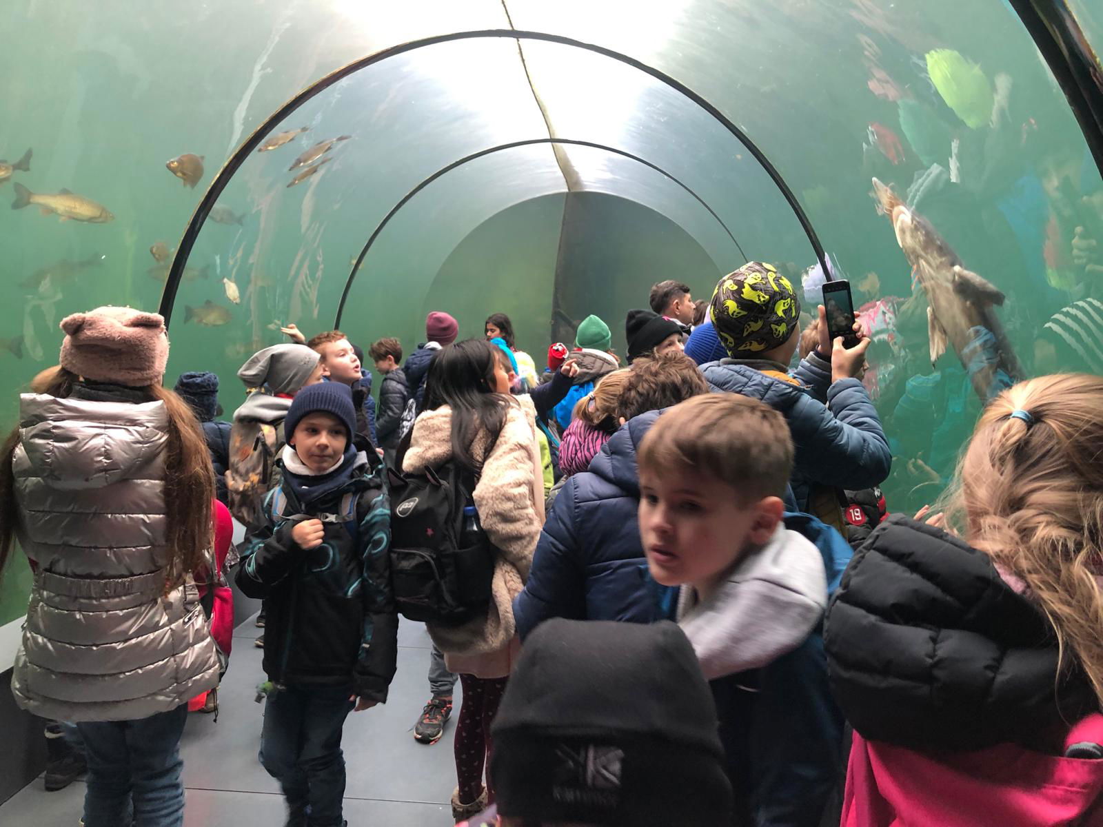 WhatsApp Image 2022-12-11 at 18.09.10 (3)