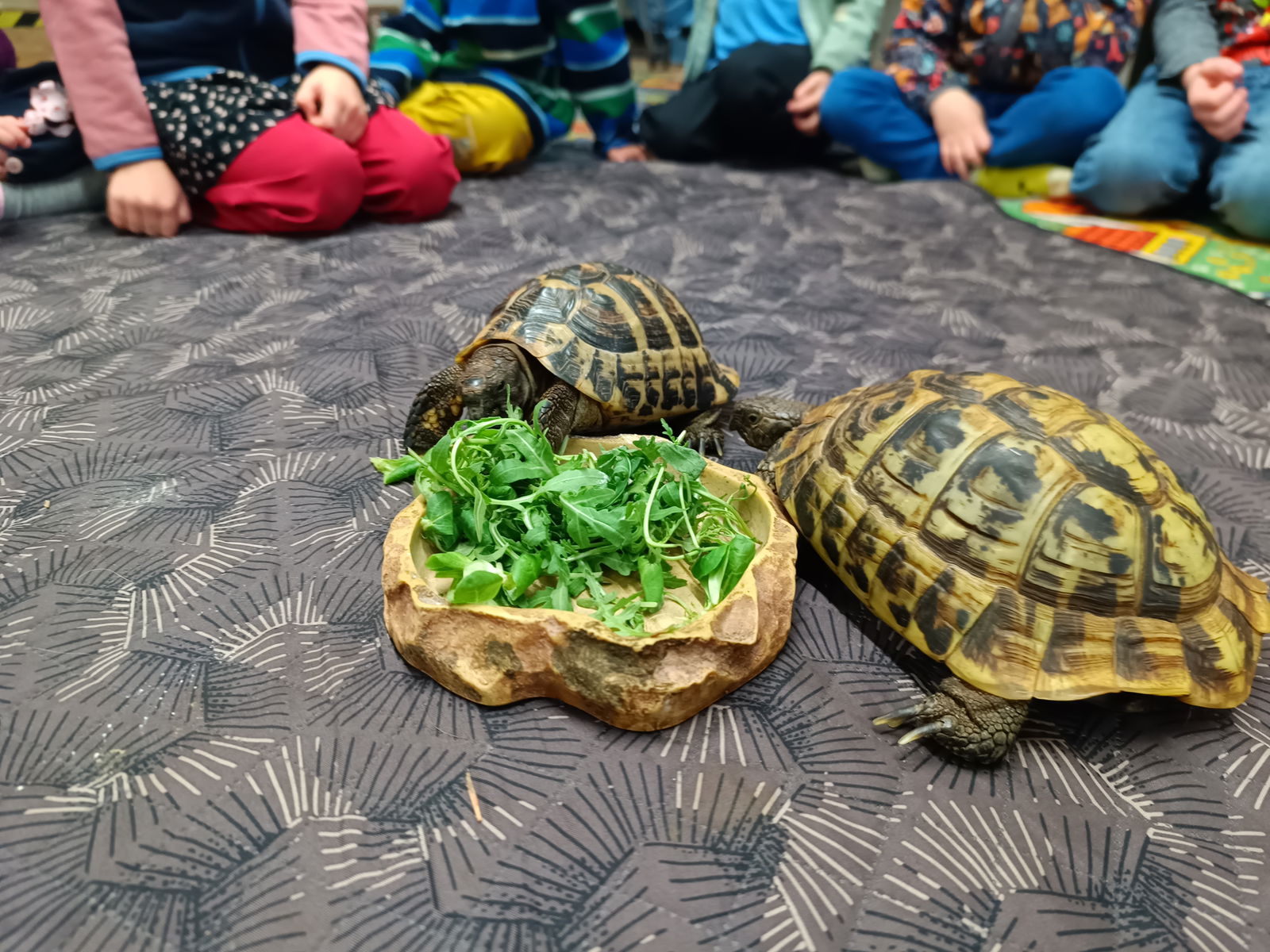 IMG_20251014_100054_619