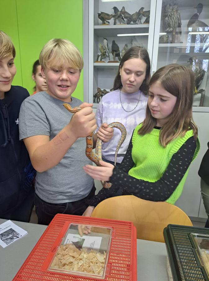 312361050_797965308101717_6730507494829599122_n