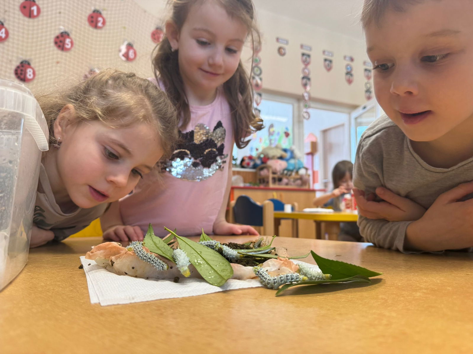 WhatsApp Image 2026-02-18 at 09.49.16 (1)