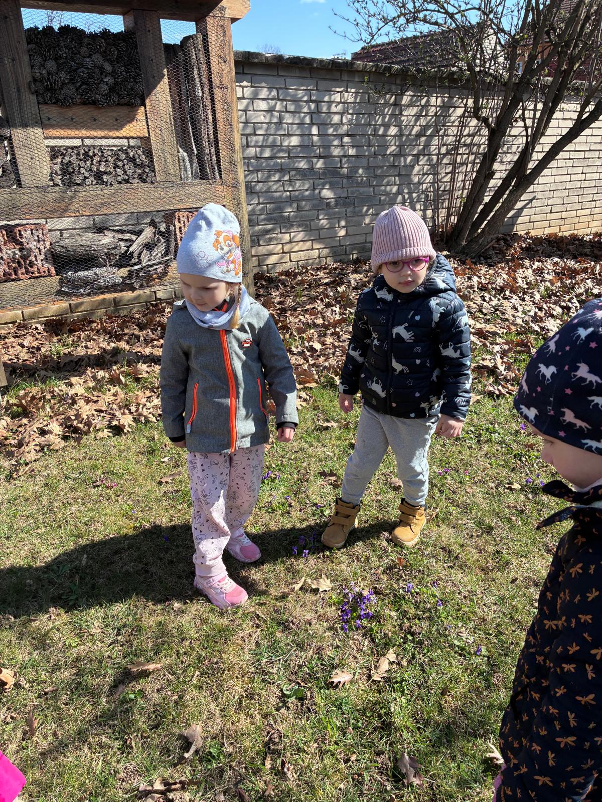 WhatsApp Image 2026-03-28 at 20.50.39 (7)