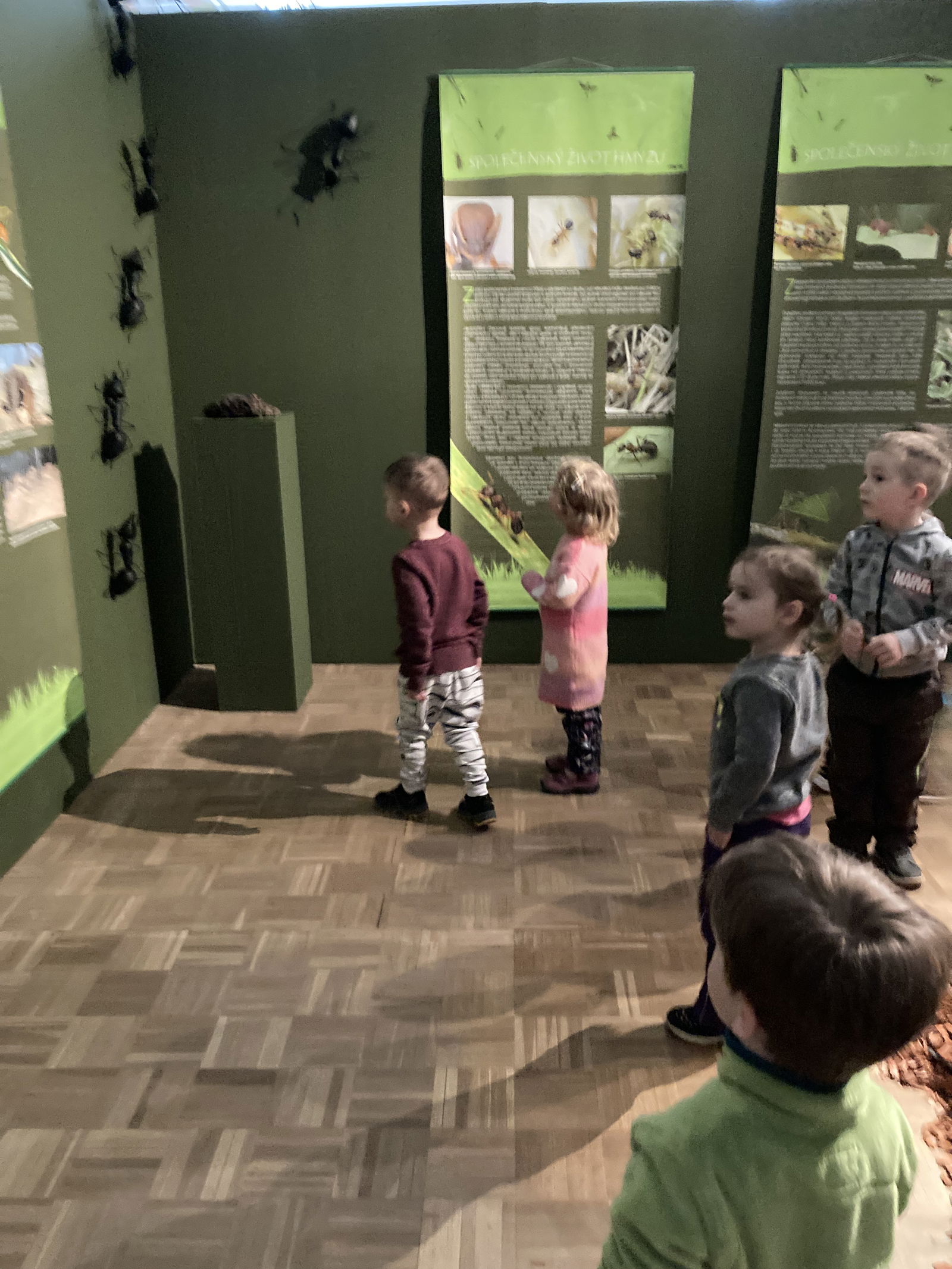 ECB3E9EB-7E14-4994-8B00-F69D44B1CAAB