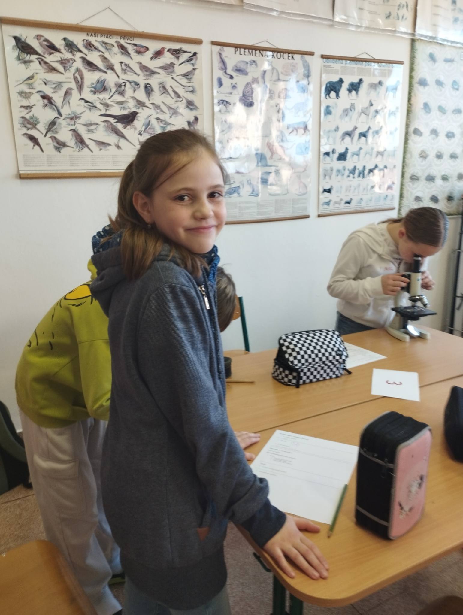 a6e00391-7a2a-4392-94fa-9ff0c7f4314e