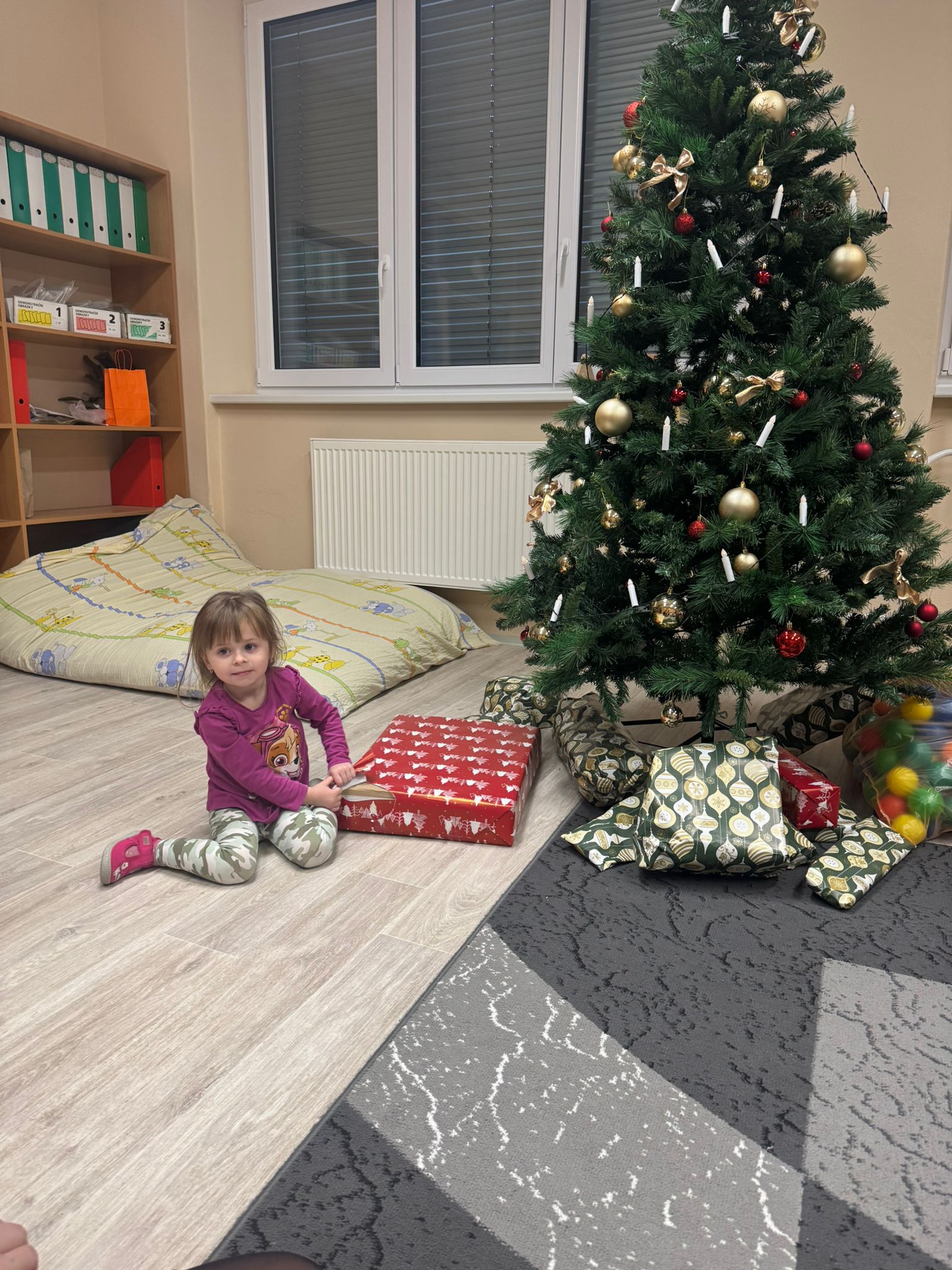 Obrázek WhatsApp, 2025-12-15 v 14.39.12_272c5f72