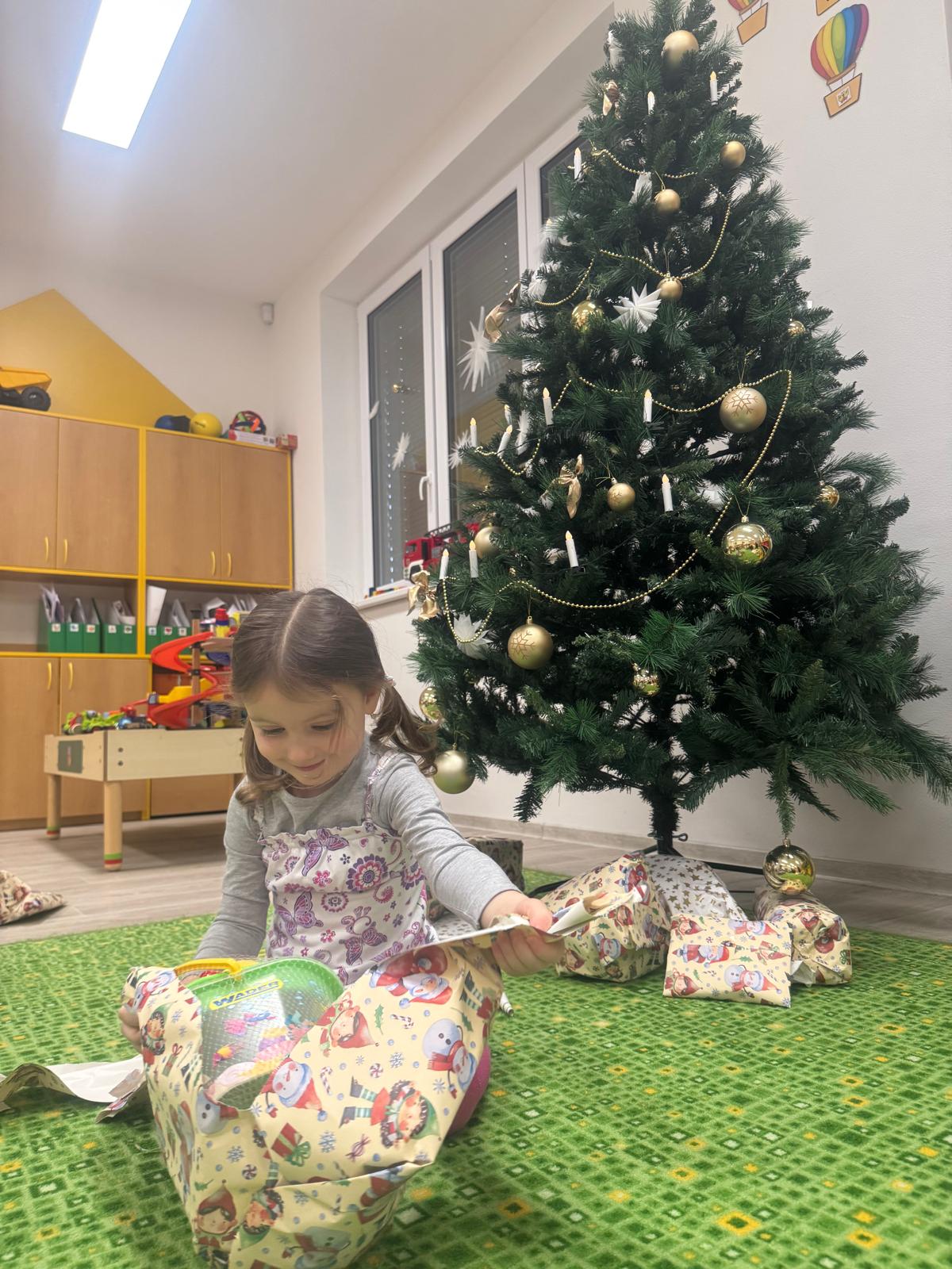 Obrázek WhatsApp, 2024-12-18 v 12.01.03_9725e4b2