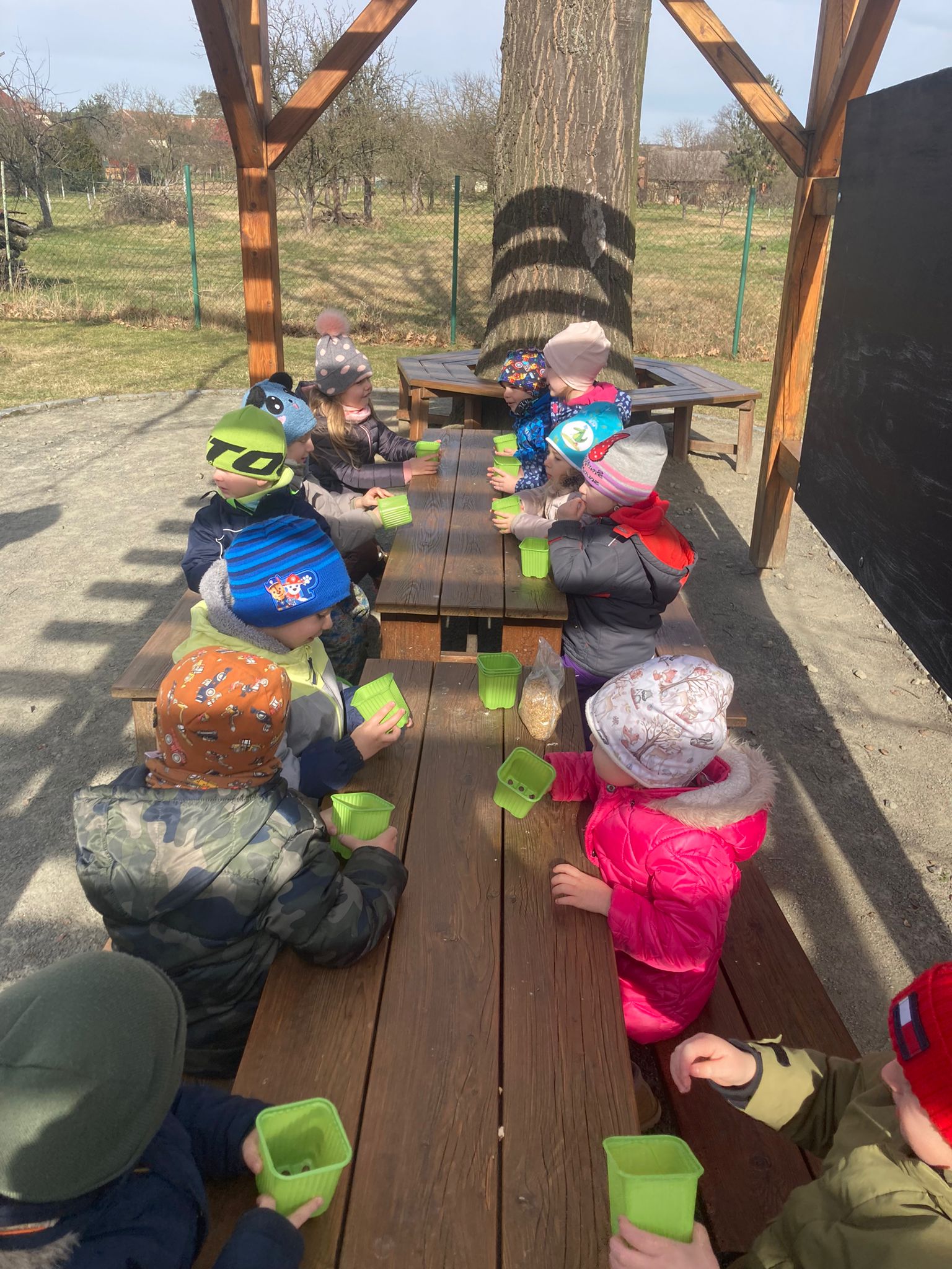 PHOTO-2023-03-18-08-35-55 (3)