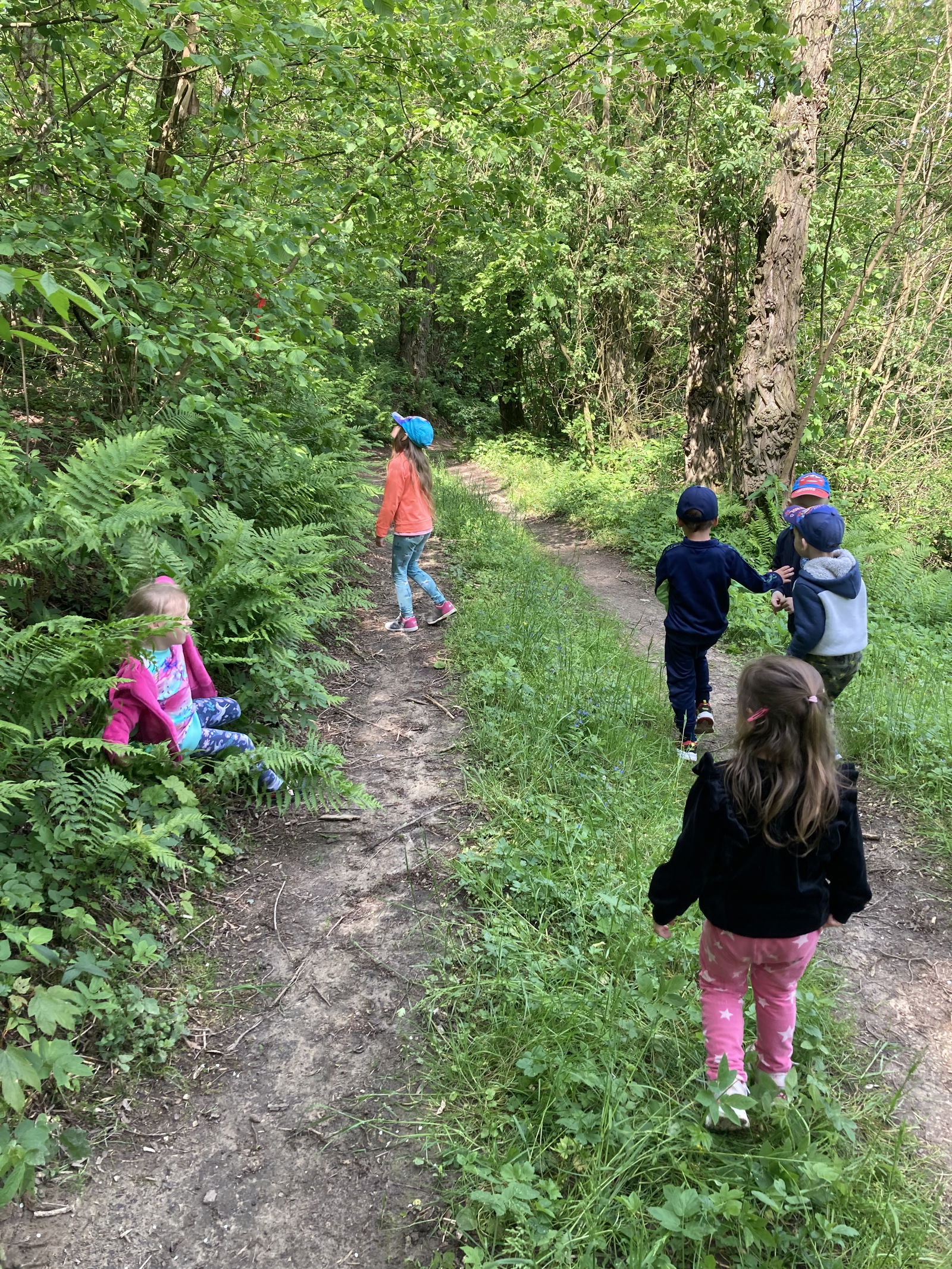 F355BAEC-540A-4C51-9192-D783C95BAAF3