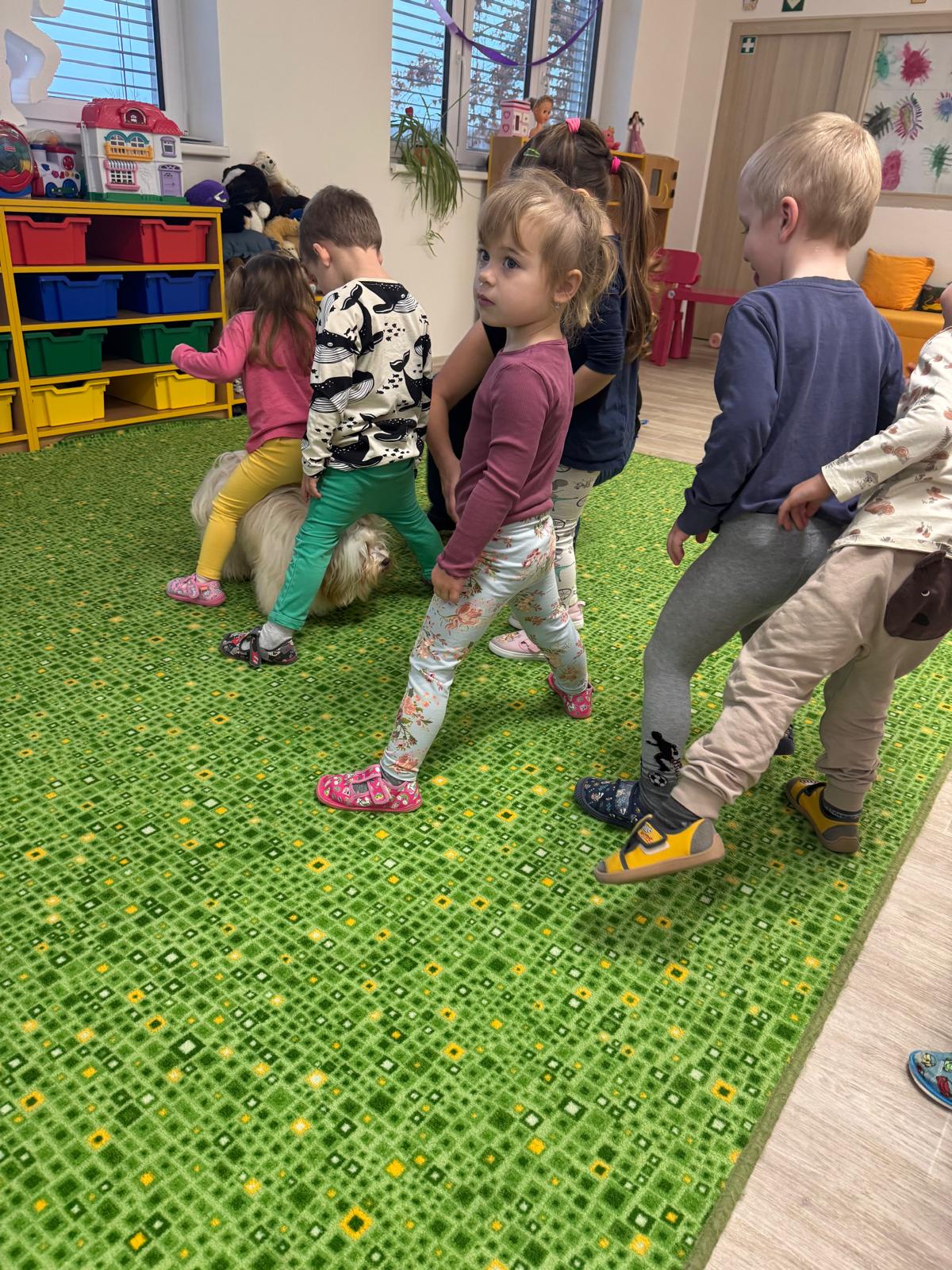 Obrázek WhatsApp, 2024-11-14 v 08.01.09_bc9e2d46