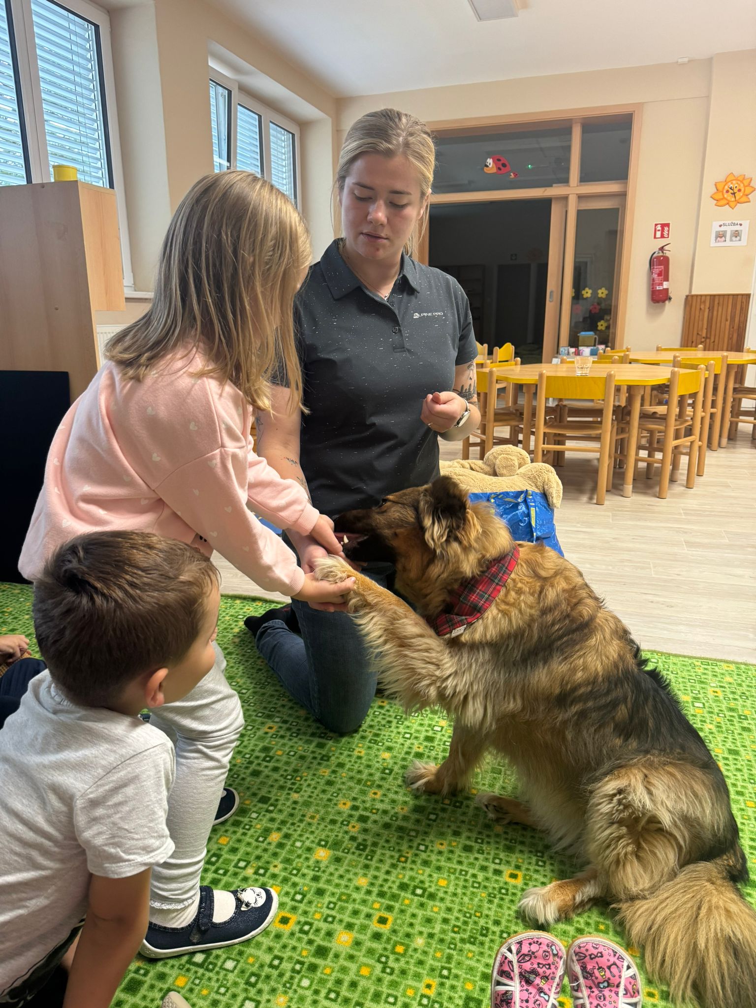 WhatsApp Image 2025-09-16 at 10.52.19