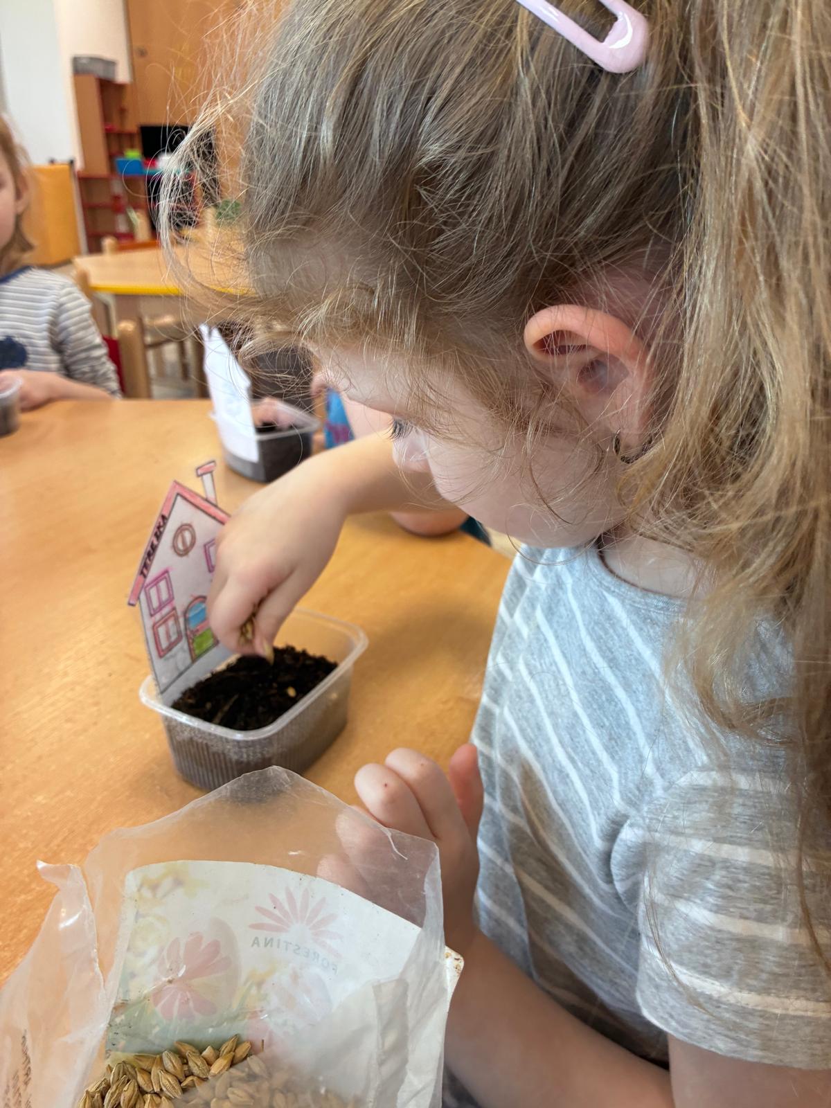 WhatsApp Image 2026-03-28 at 20.50.39