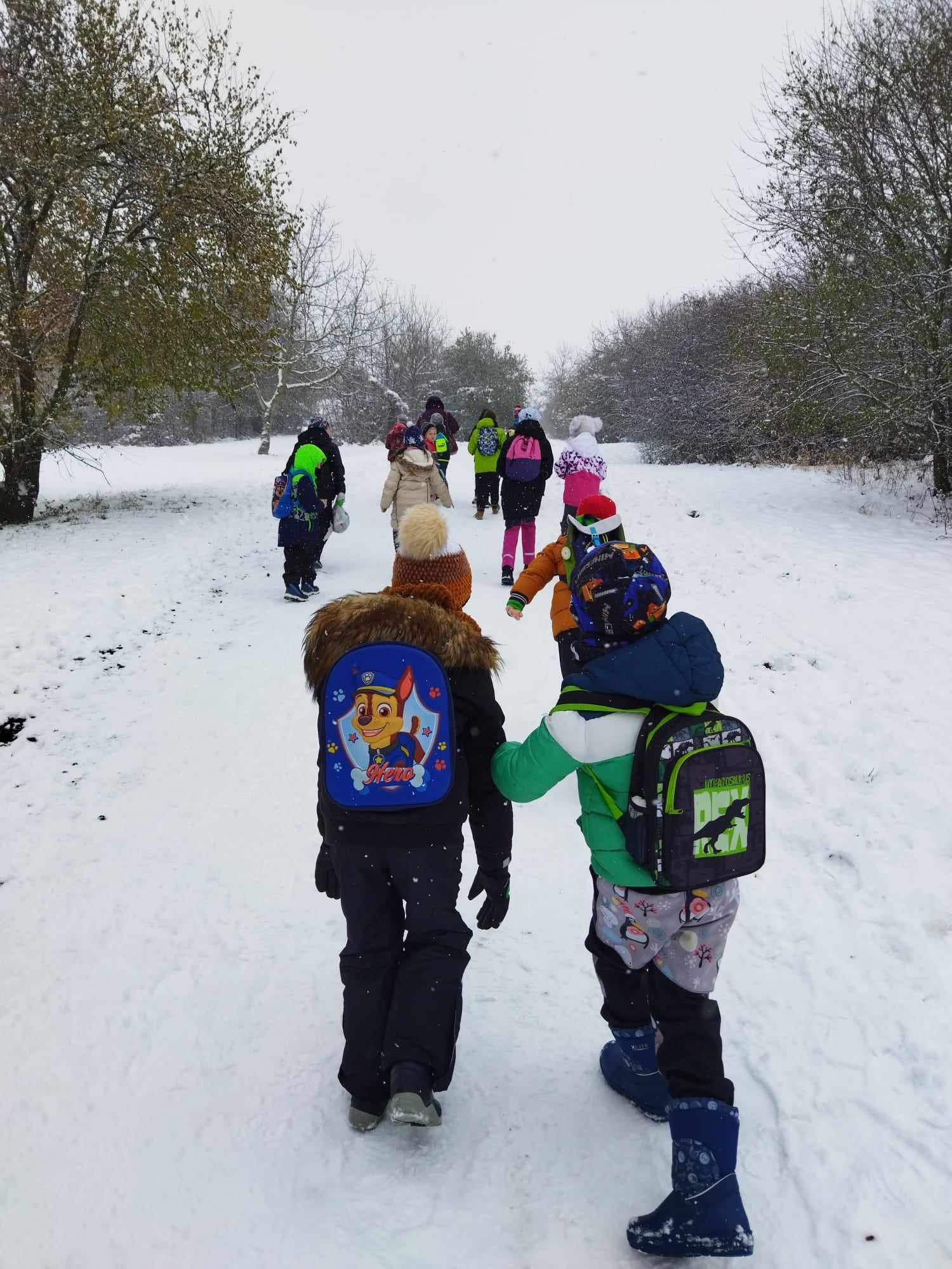 403880561_1842489479502396_4156679427897003699_n