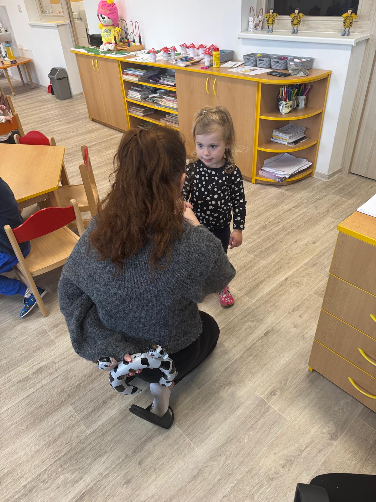 Obrázek WhatsApp, 2024-11-14 v 08.01.09_851239f6