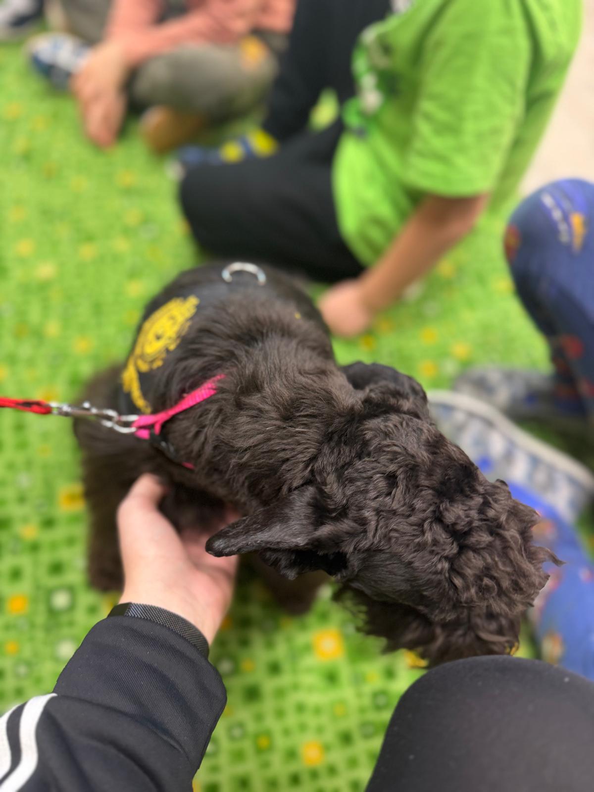 WhatsApp Image 2026-01-22 at 21.42.28 (4)