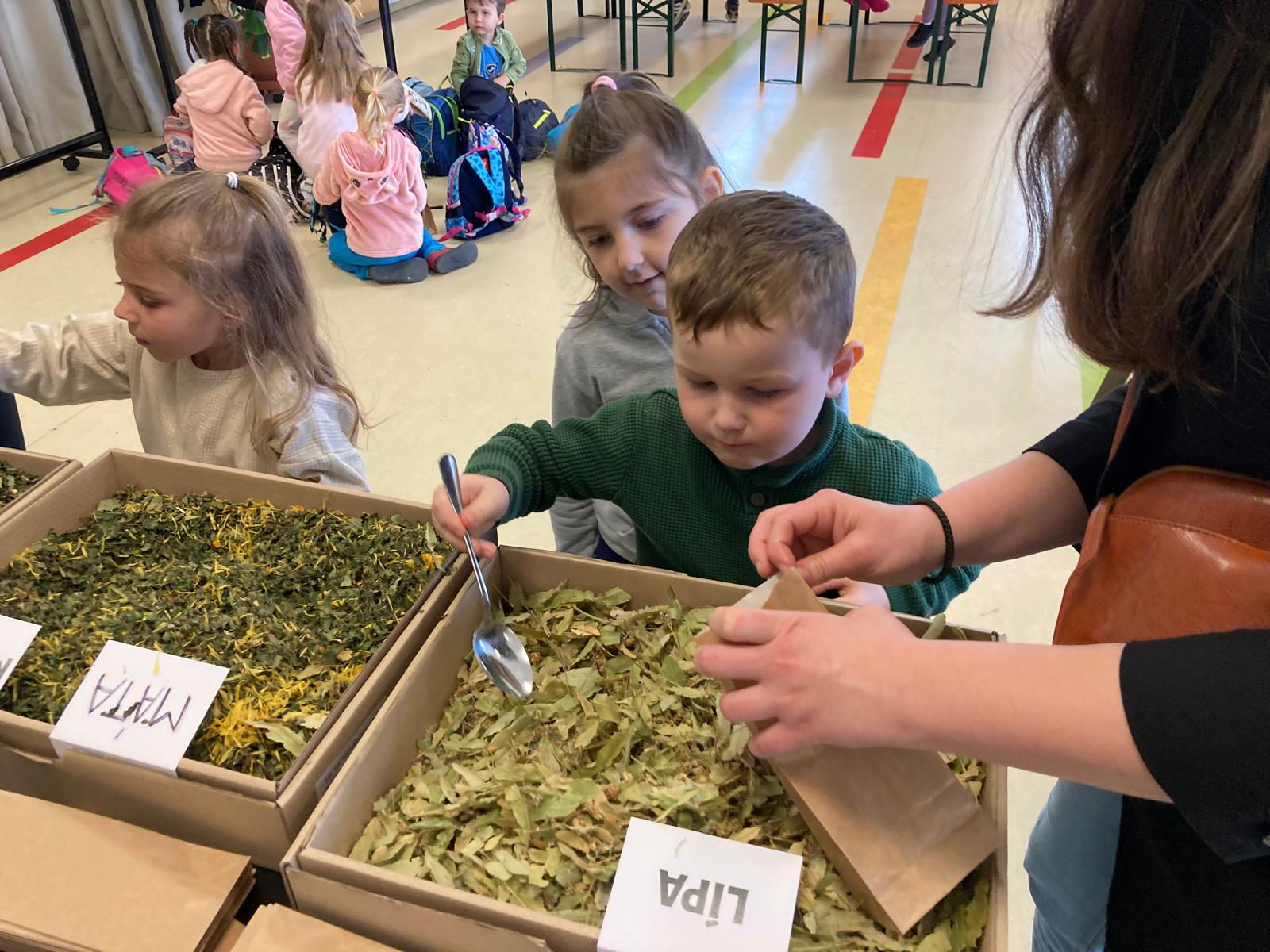 WhatsApp Image 2026-03-18 at 20.02.05