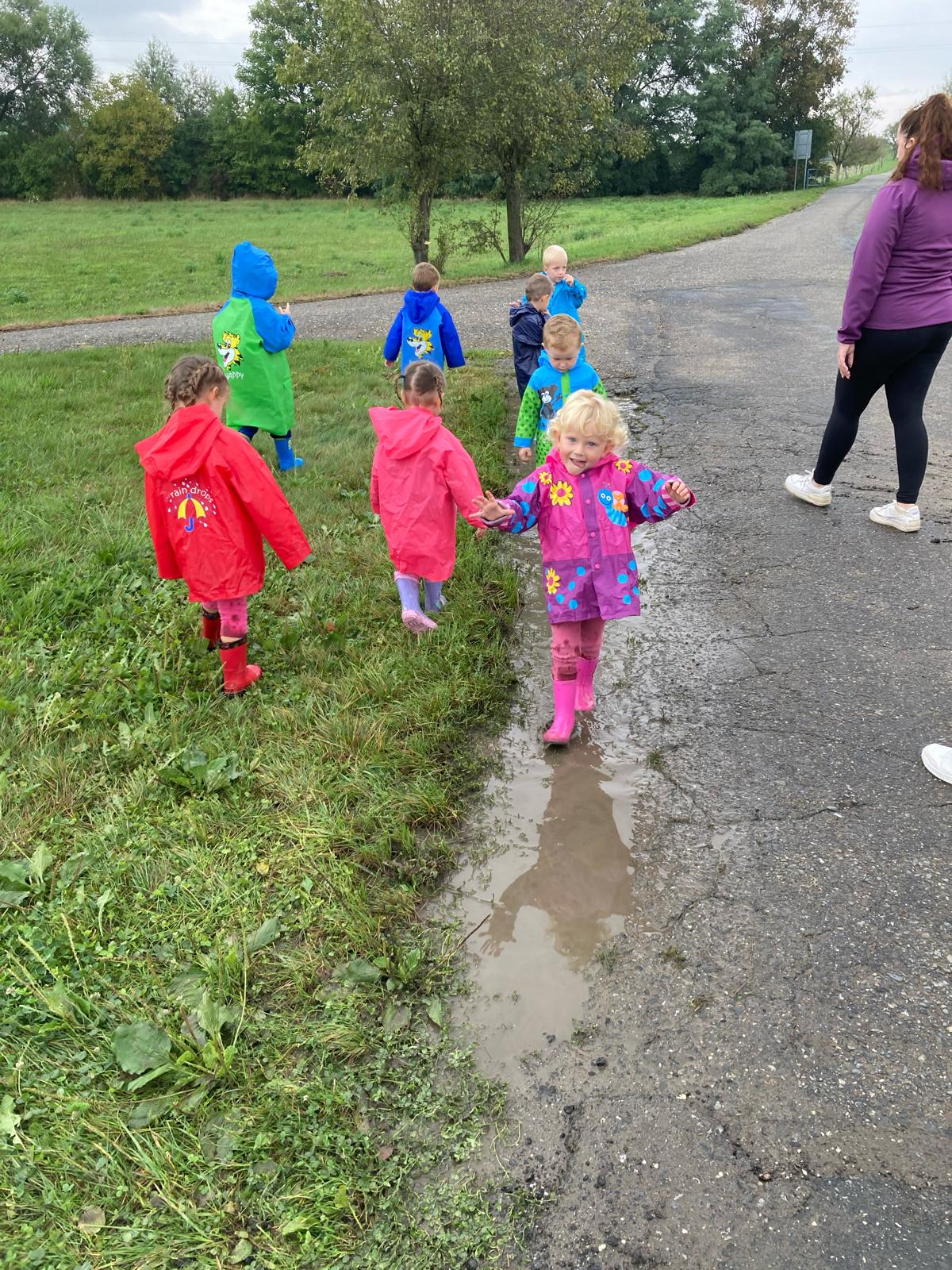 Obrázek WhatsApp, 2024-11-14 v 08.14.24_50ef7cff