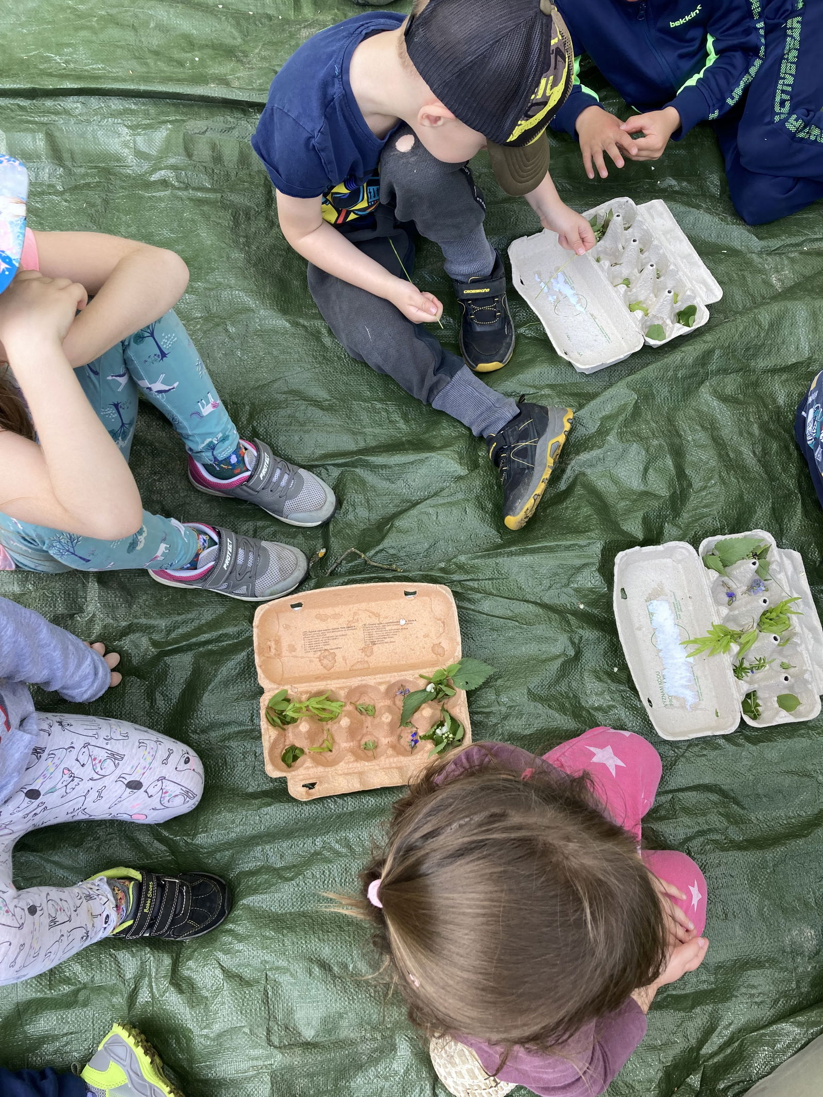 C2465E87-AE7A-4800-96EC-35D0036859A0