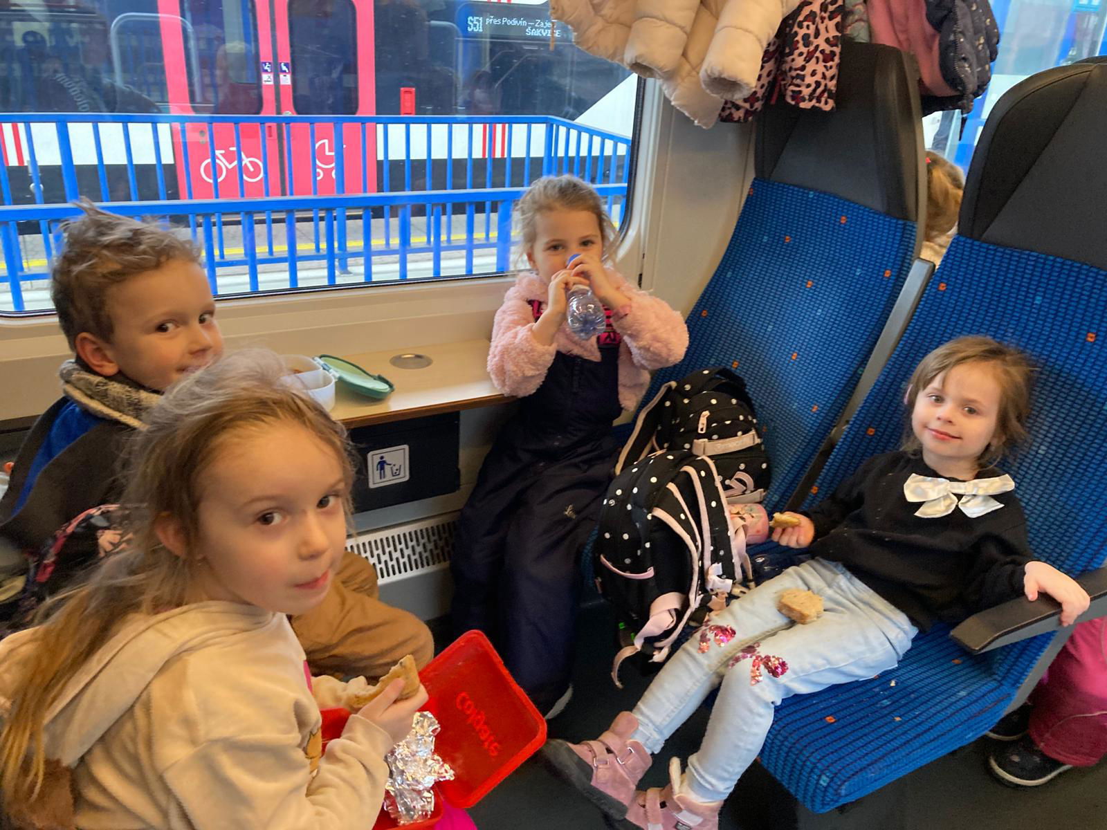 WhatsApp Image 2026-02-17 at 15.05.31