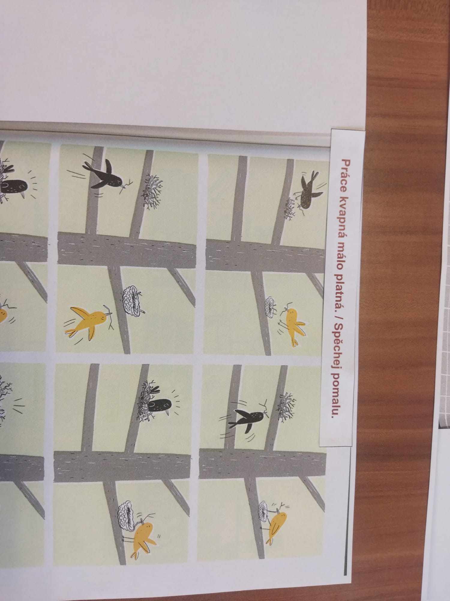 438065159_380340674404091_2783724530851502350_n