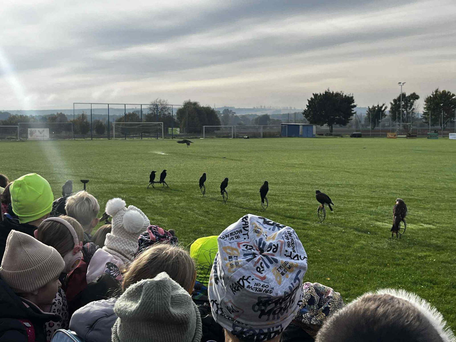 0f20c5f0-161a-4500-bc50-bc1c049f4e74