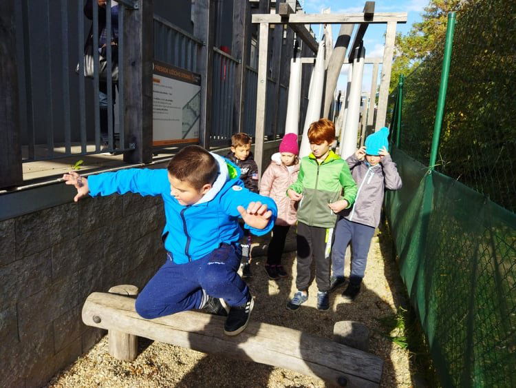 0f43e38b4147293a900fe7aa1a561e73