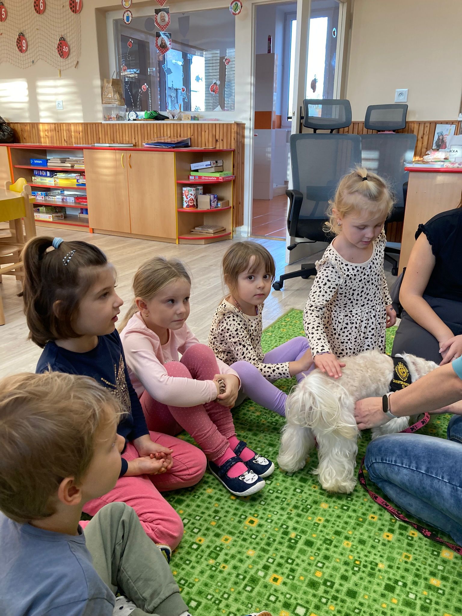 Obrázek WhatsApp, 2025-11-24 v 17.07.55_dac53409