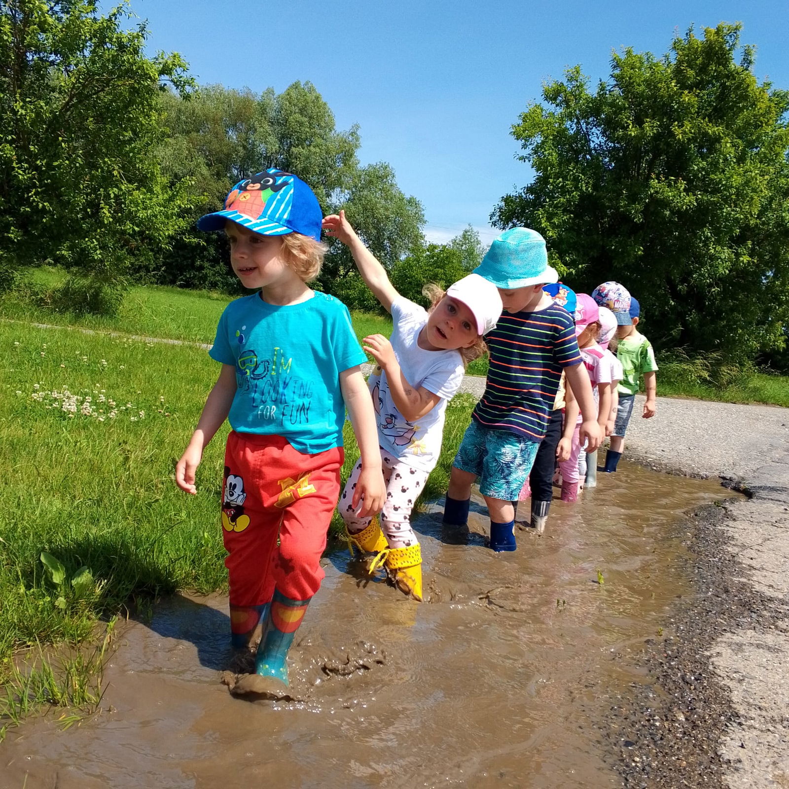 Obrázek WhatsApp, 2025-06-06 v 12.47.32_dfa429f8