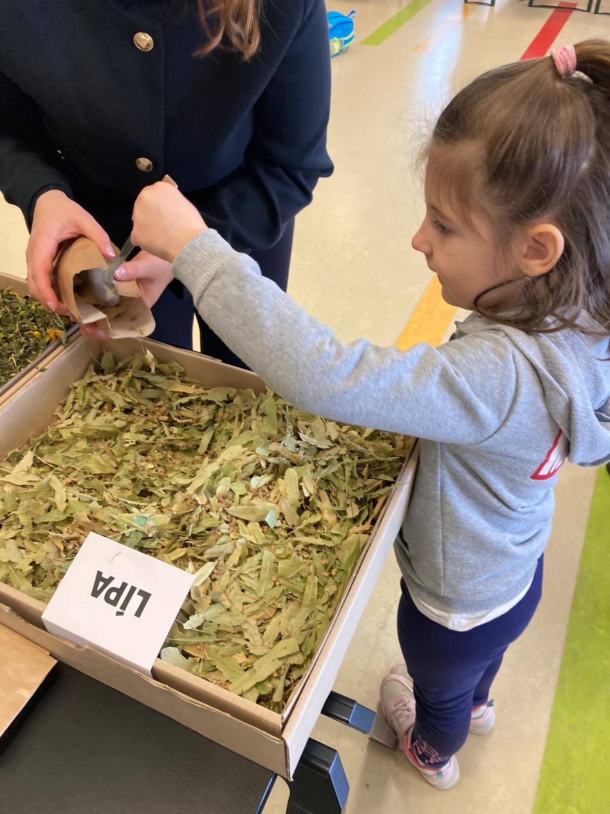 WhatsApp Image 2026-03-18 at 20.02.05 (1)